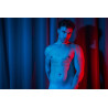 The Male Muse Livre photo PULP n°3
